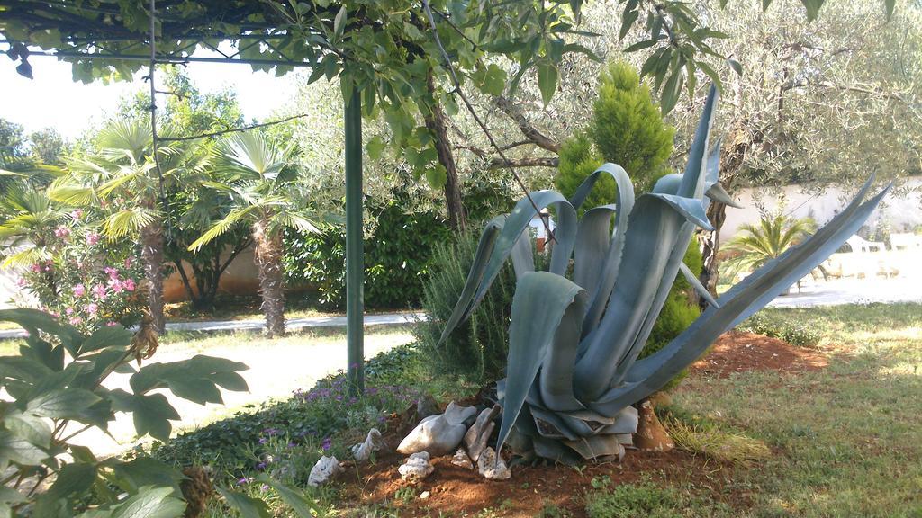 לינה וארוחת בוקר פורץ Pansion Margerita מראה חיצוני תמונה